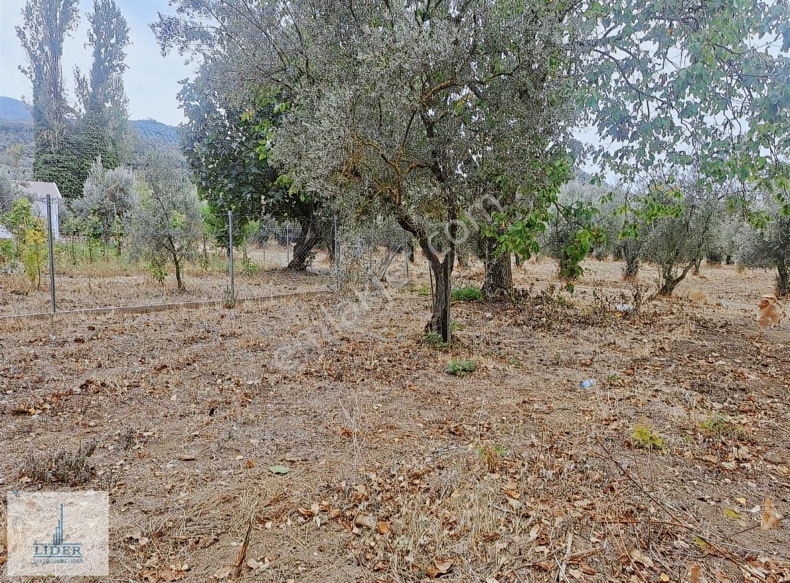 Bursa Orhangazi Karsak'ta 264m2 Harika Konumda Süper Hobi Bahçe - Görsel 13