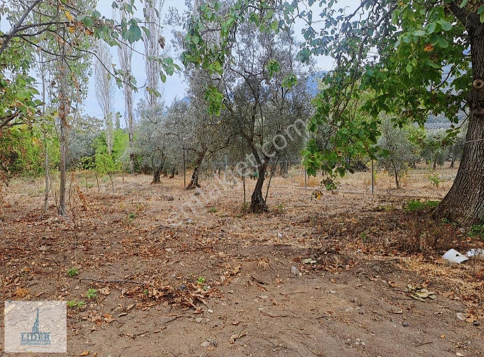 Bursa Orhangazi Karsak'ta 264m2 Harika Konumda Süper Hobi Bahçe - Görsel 15