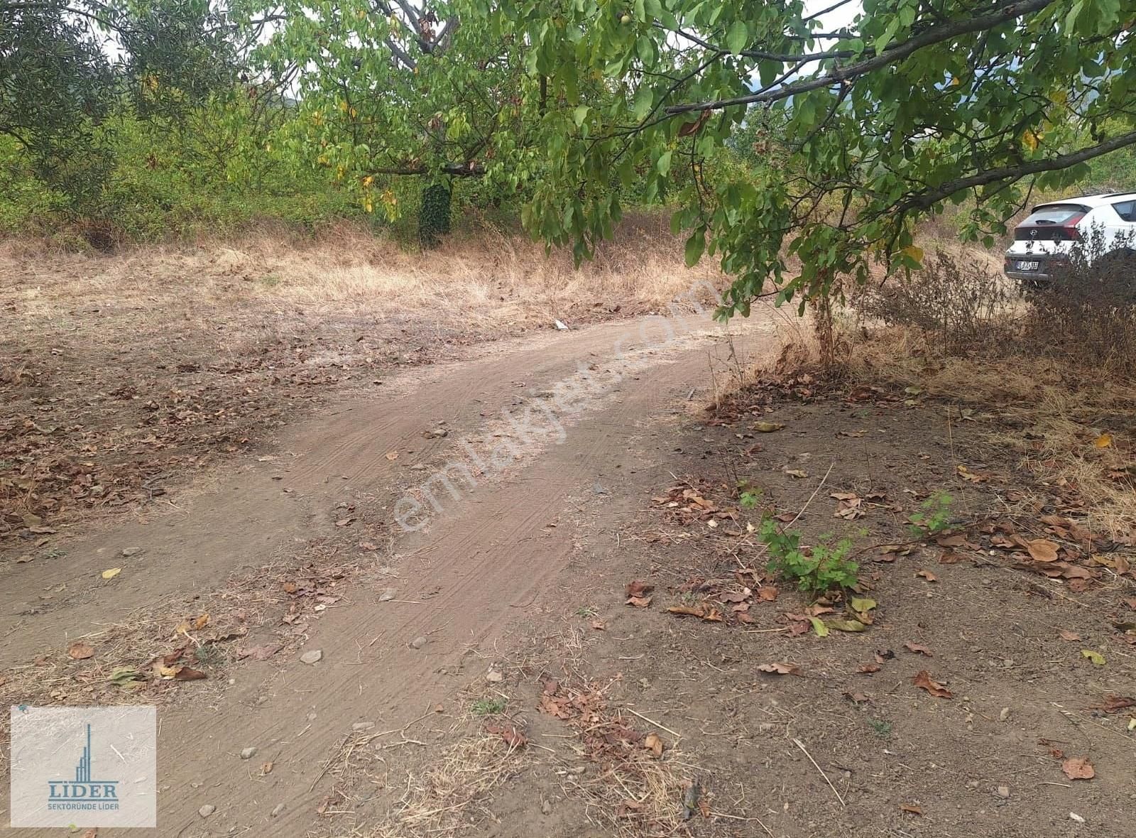 Bursa Orhangazi Karsak'ta 264m2 Harika Konumda Süper Hobi Bahçe - Görsel 7