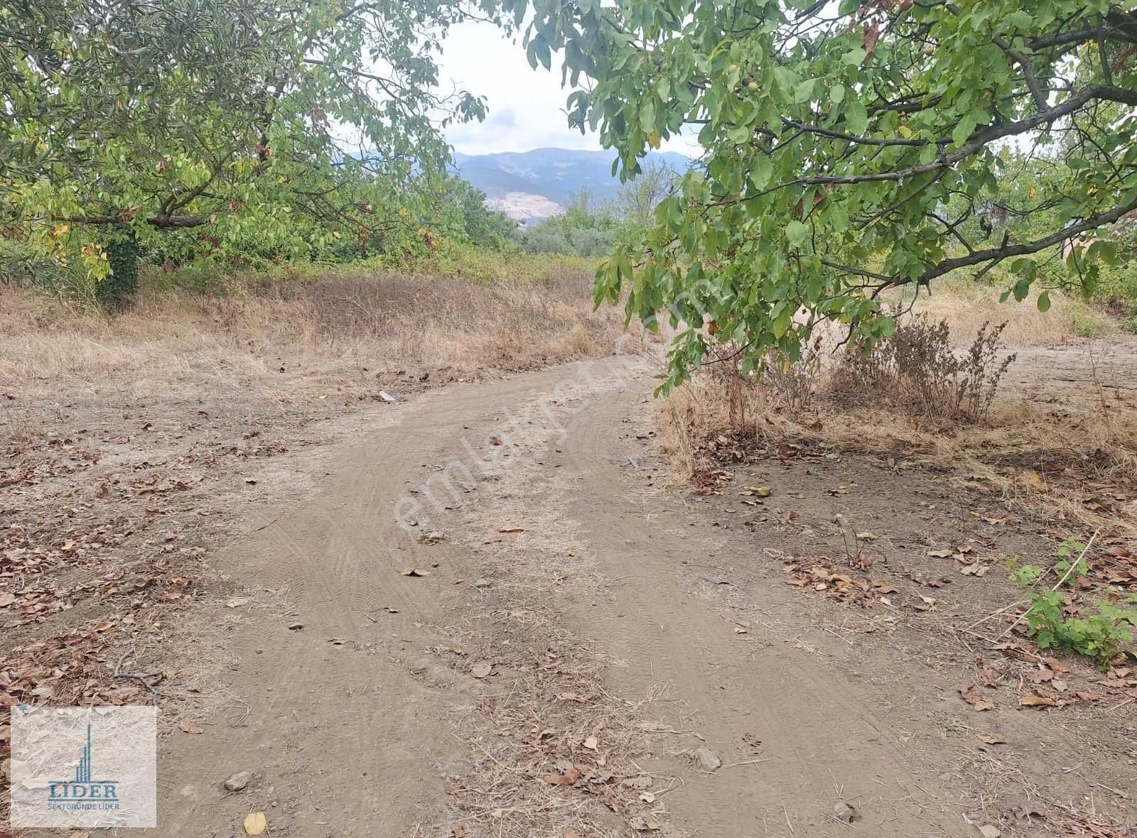 Bursa Orhangazi Karsak'ta 264m2 Harika Konumda Süper Hobi Bahçe - Görsel 8