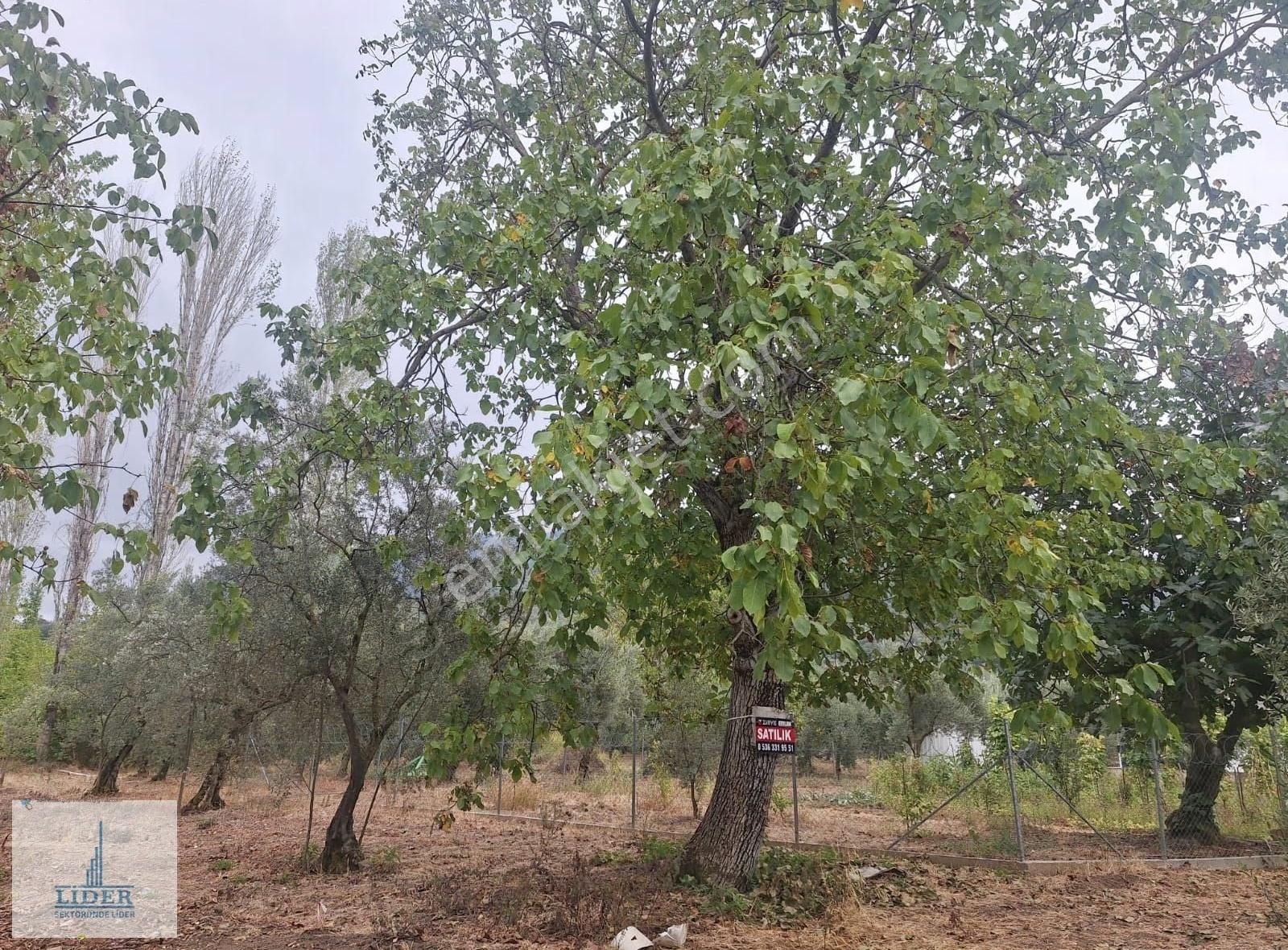 Bursa Orhangazi Karsak'ta 264m2 Harika Konumda Süper Hobi Bahçe - Görsel 18