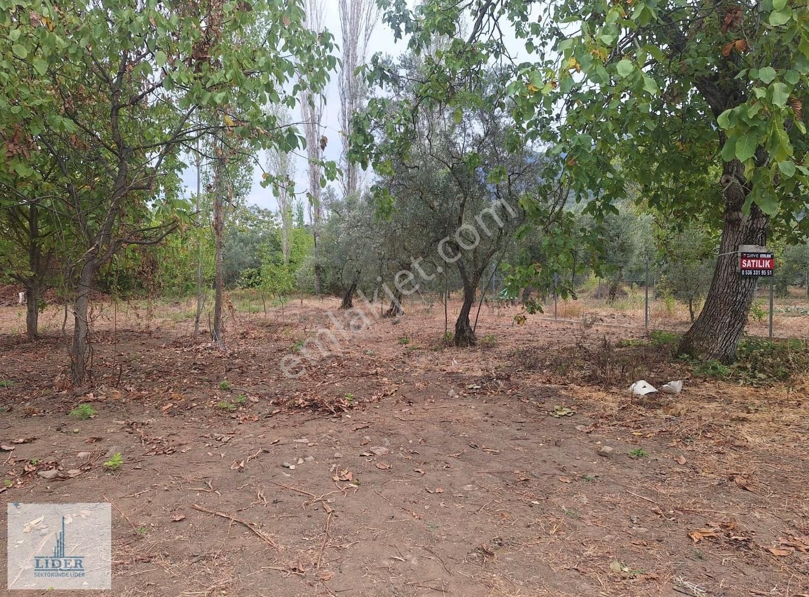 Bursa Orhangazi Karsak'ta 264m2 Harika Konumda Süper Hobi Bahçe - Görsel 19