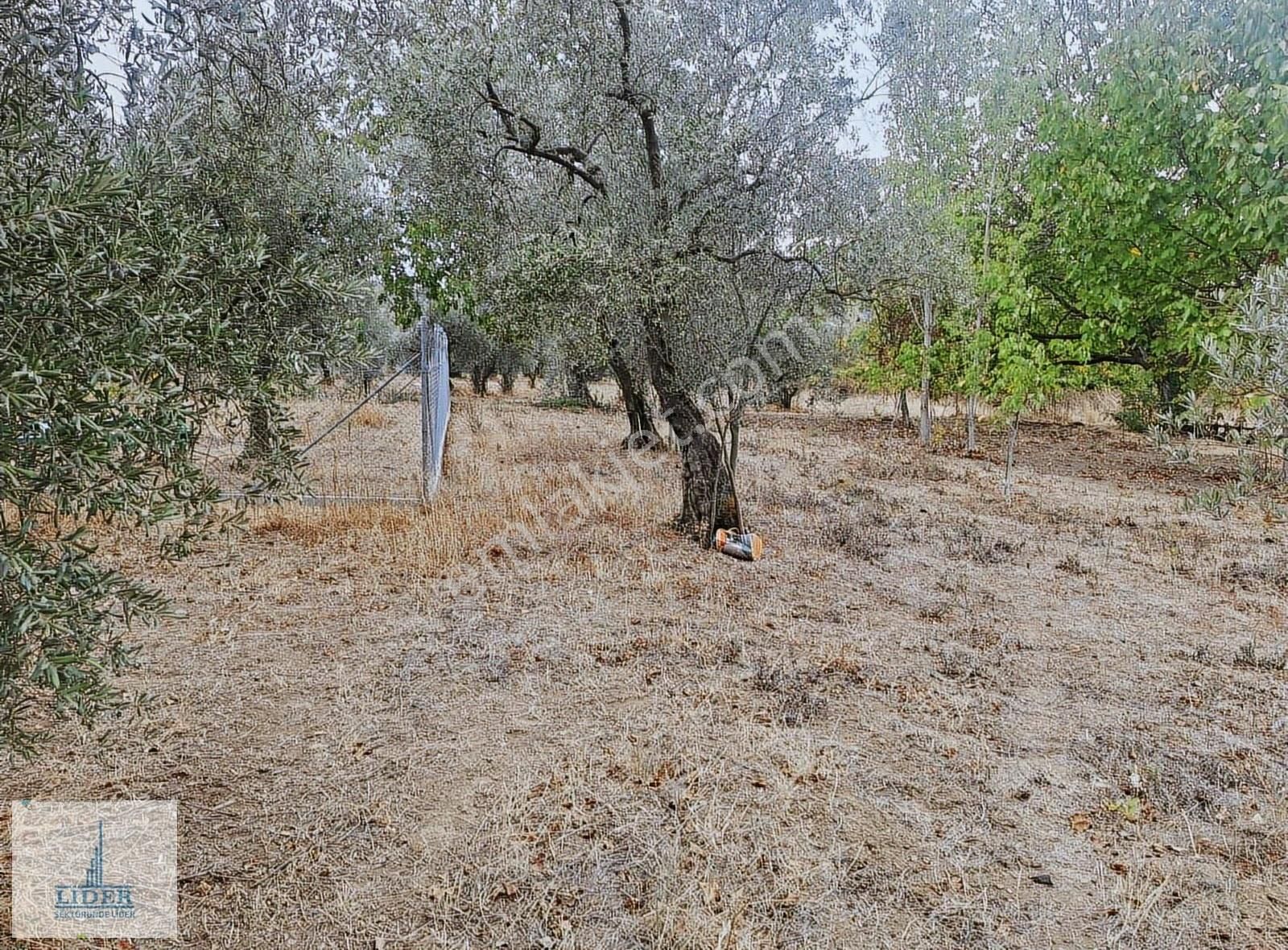 Bursa Orhangazi Karsak'ta 264m2 Harika Konumda Süper Hobi Bahçe - Görsel 21