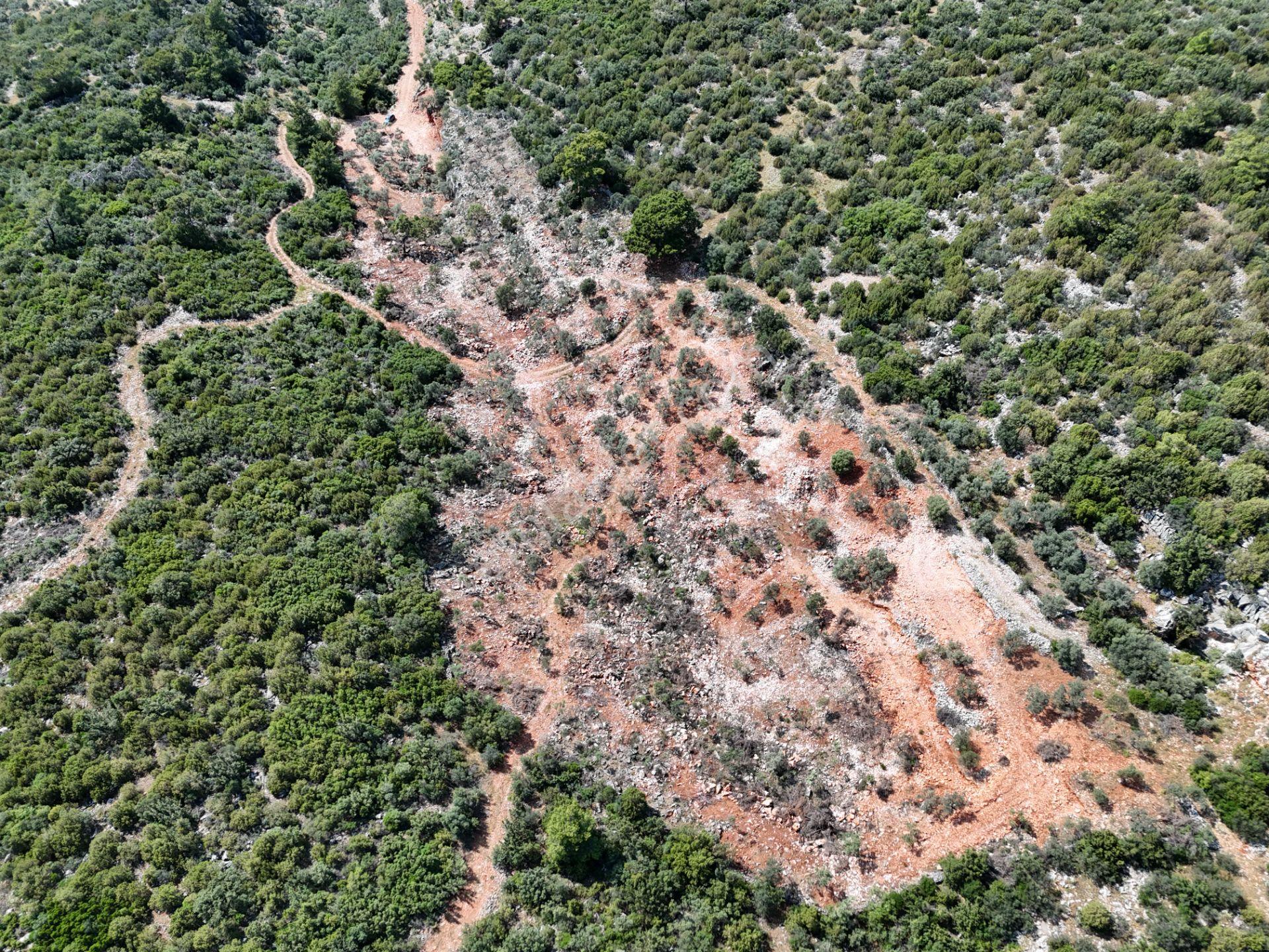 Milas'ta Havalimanı Ve Doğa Manzaralı Muhteşem Zeytinlik Arazisi - Görsel 10