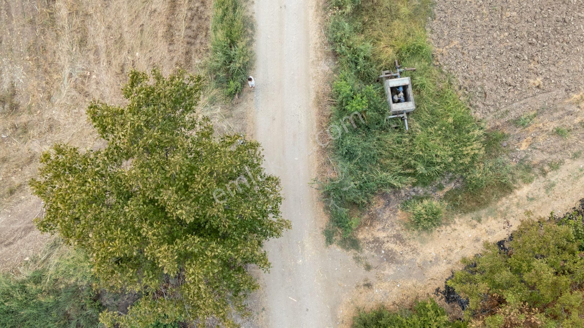 Aydın Bozdoğan Eymir Mahallesinde Köy İmarlı Fırsat Tarla - Görsel 14