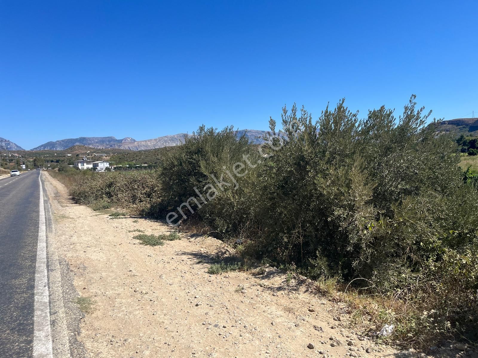 Tümbüller Yapı Gayrimenkul'den –bucakşeyhler'de Yola Sıfır Tarla - Görsel 6