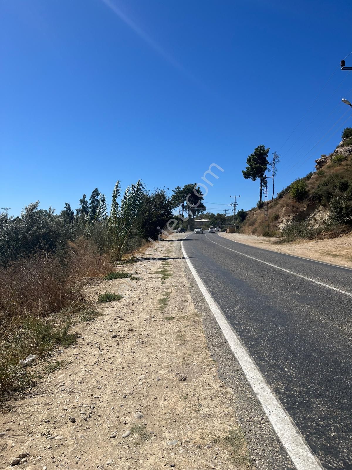 Tümbüller Yapı Gayrimenkul'den –bucakşeyhler'de Yola Sıfır Tarla