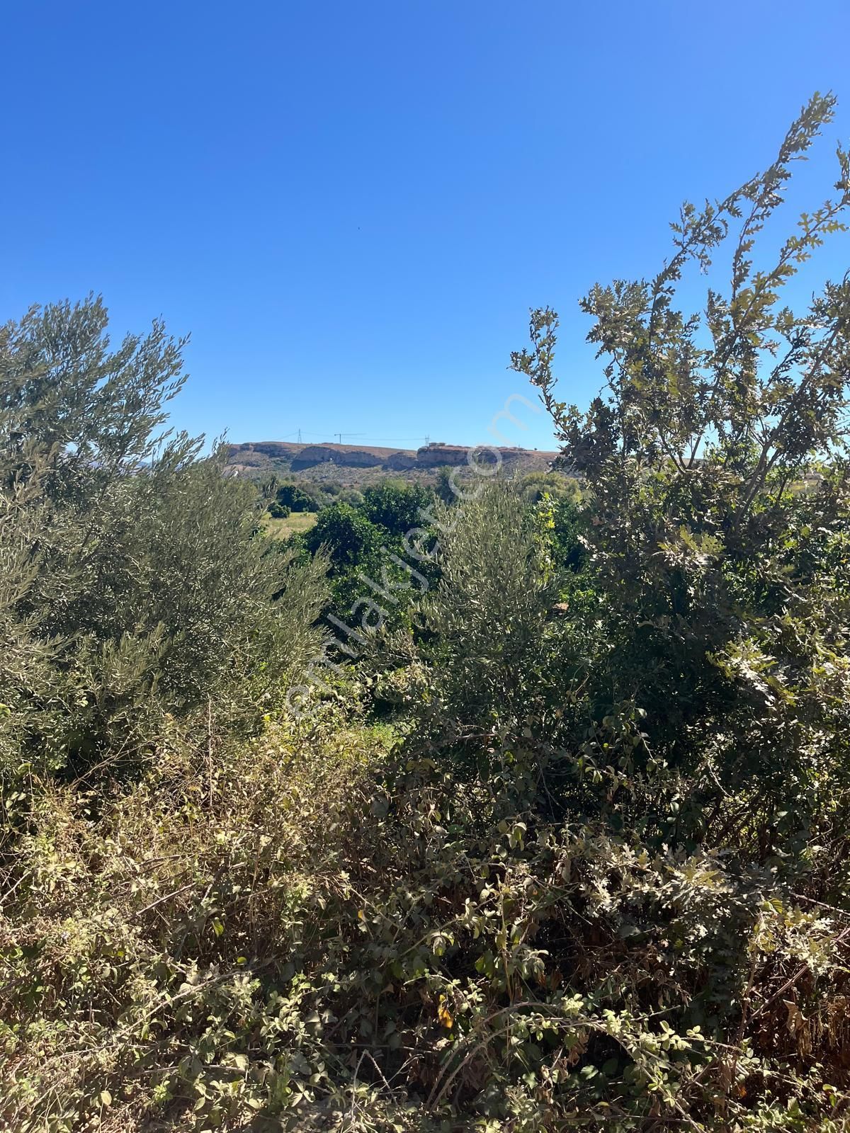 Tümbüller Yapı Gayrimenkul'den –bucakşeyhler'de Yola Sıfır Tarla - Görsel 5