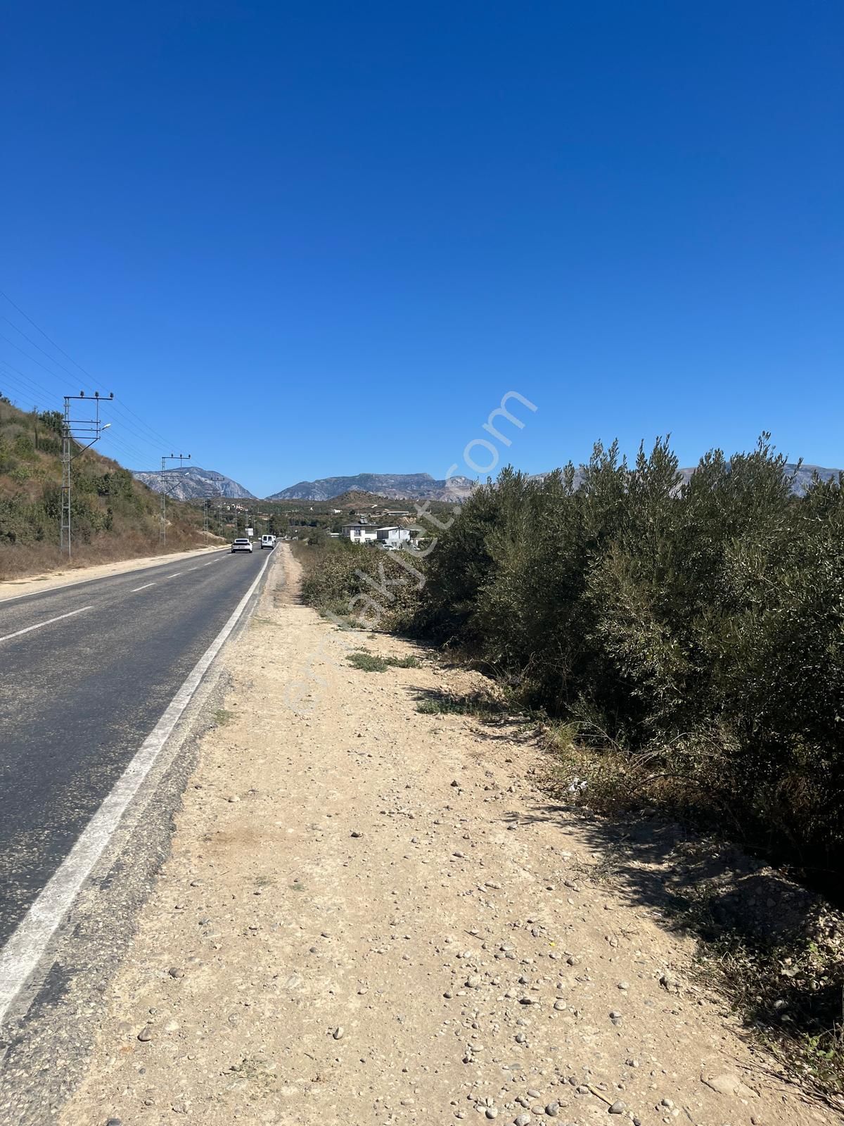 Tümbüller Yapı Gayrimenkul'den –bucakşeyhler'de Yola Sıfır Tarla - Görsel 3