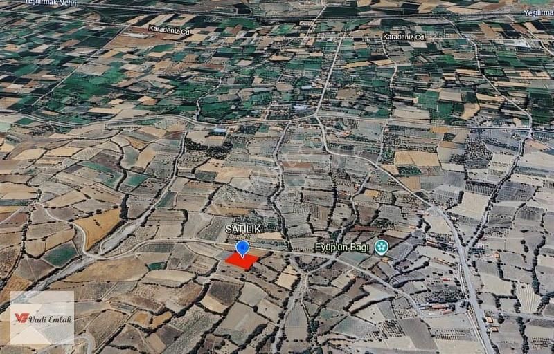 Vadi Emlak'tan Büyükyıldız'da 2330mt2 Tek Tapu Satılık Tarla - Görsel 3