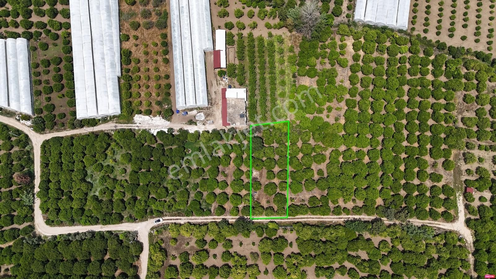 Antalya Finike Hasyurt Sahile Yakın 750 M2 Portakal Bahçesi - Görsel 5