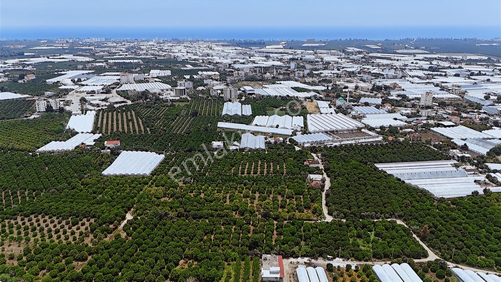 Antalya Finike Hasyurt Sahile Yakın 750 M2 Portakal Bahçesi - Görsel 18