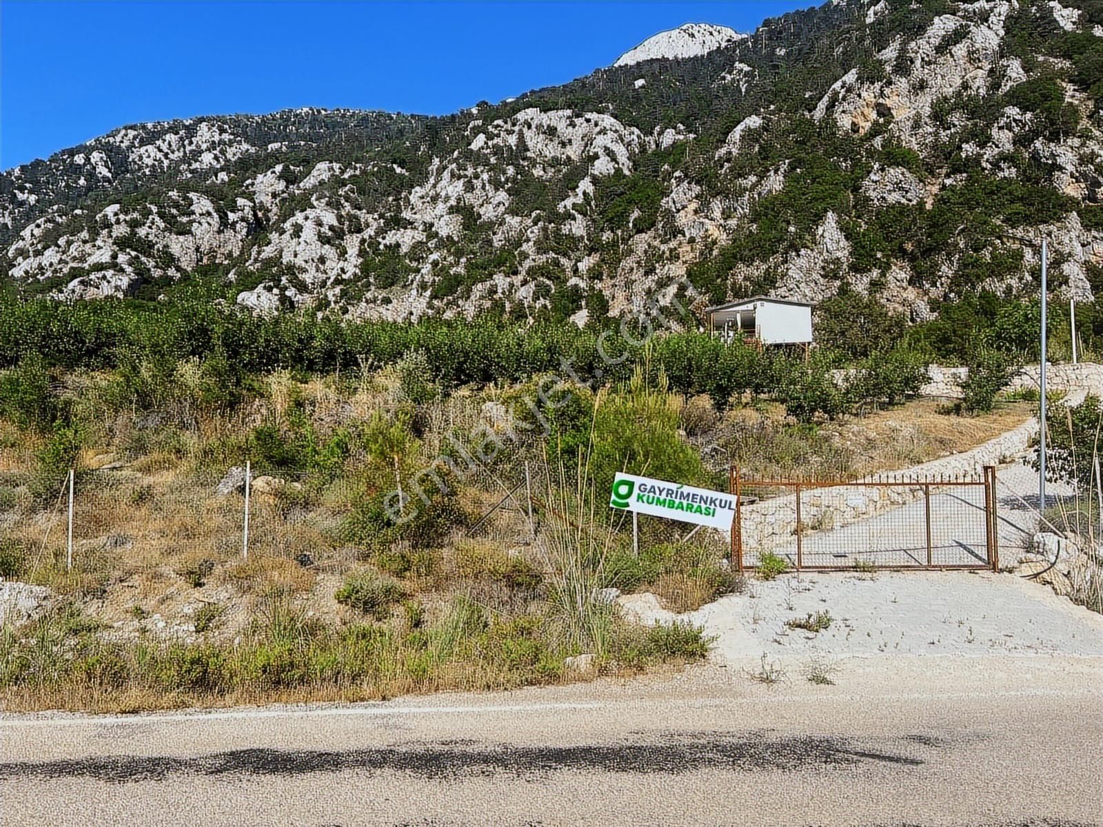 Antalya Kumluca Gölcük Mah. Ana Yol Üzeri 15.232 M2 Bahçe - Görsel 4