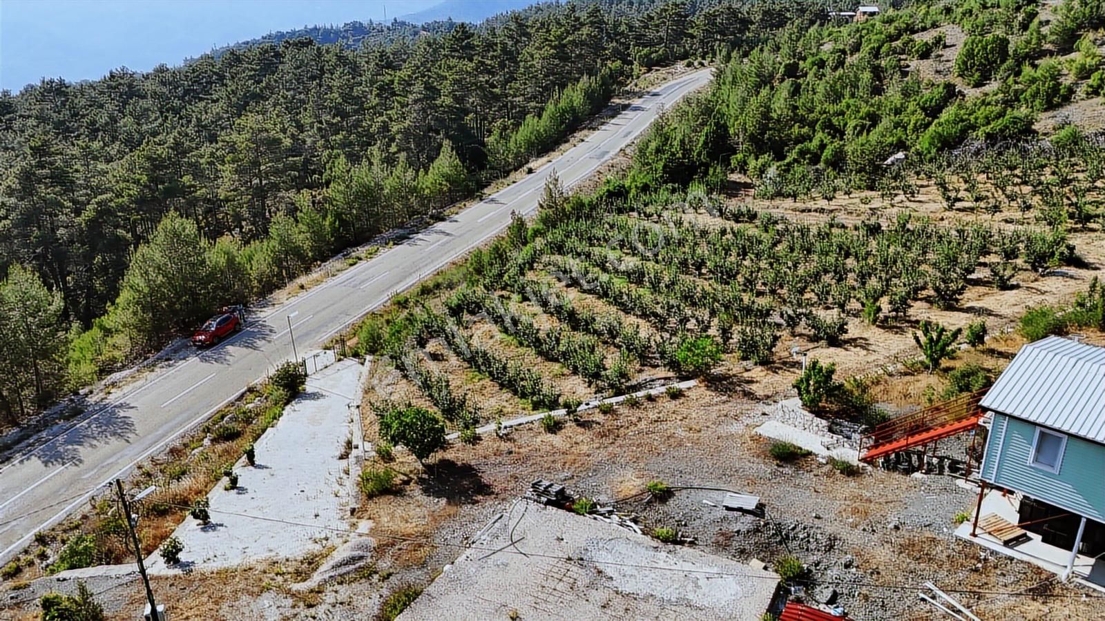 Antalya Kumluca Gölcük Mah. Ana Yol Üzeri 15.232 M2 Bahçe - Görsel 5