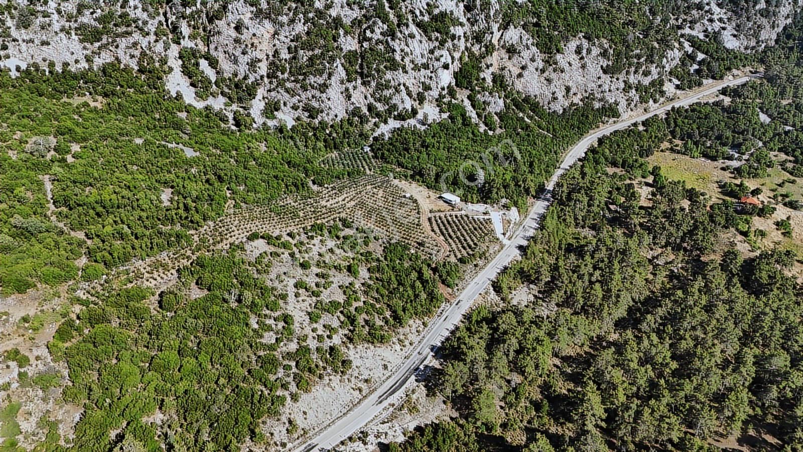 Antalya Kumluca Gölcük Mah. Ana Yol Üzeri 15.232 M2 Bahçe - Görsel 31