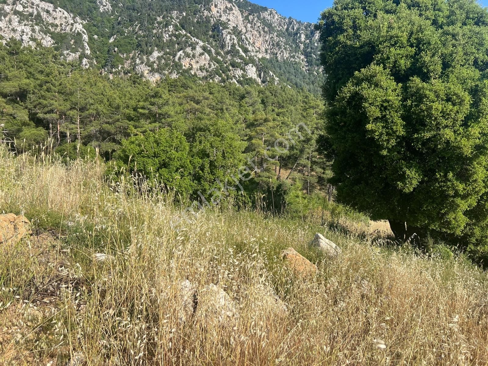 Antalya Kumluca Gölcük Mah. 2777 M2 Müstakil Arazi - Görsel 9