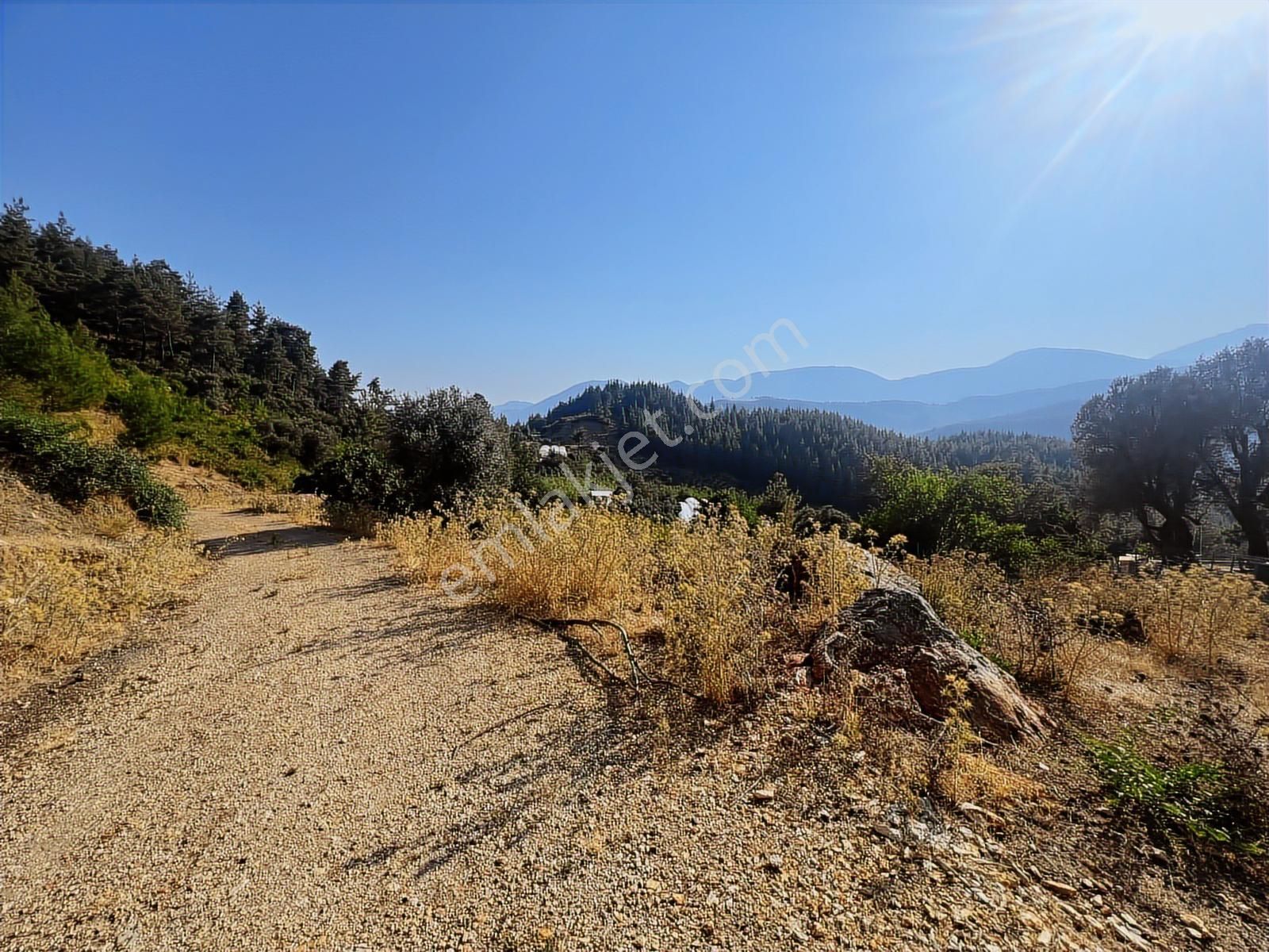 Antalya Kumluca Karacaörende 6.326 M2 Arazi - 100 M2 Ev - Görsel 16