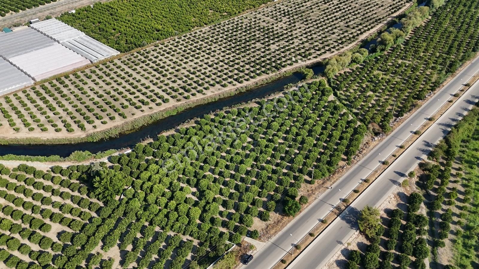 Antalya Finike Elmalı Yolu Üzeri Portakal Bahçesi Satılıktır - Görsel 25