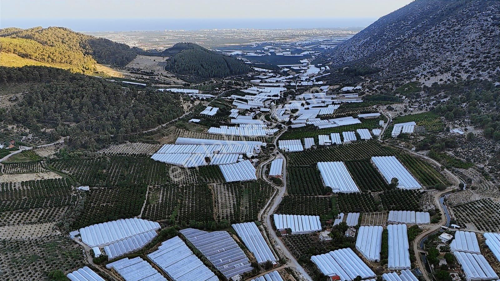 Antalya Kumluca Salur Mah. 15.000 M2 Portakal Bahçesi - Görsel 15