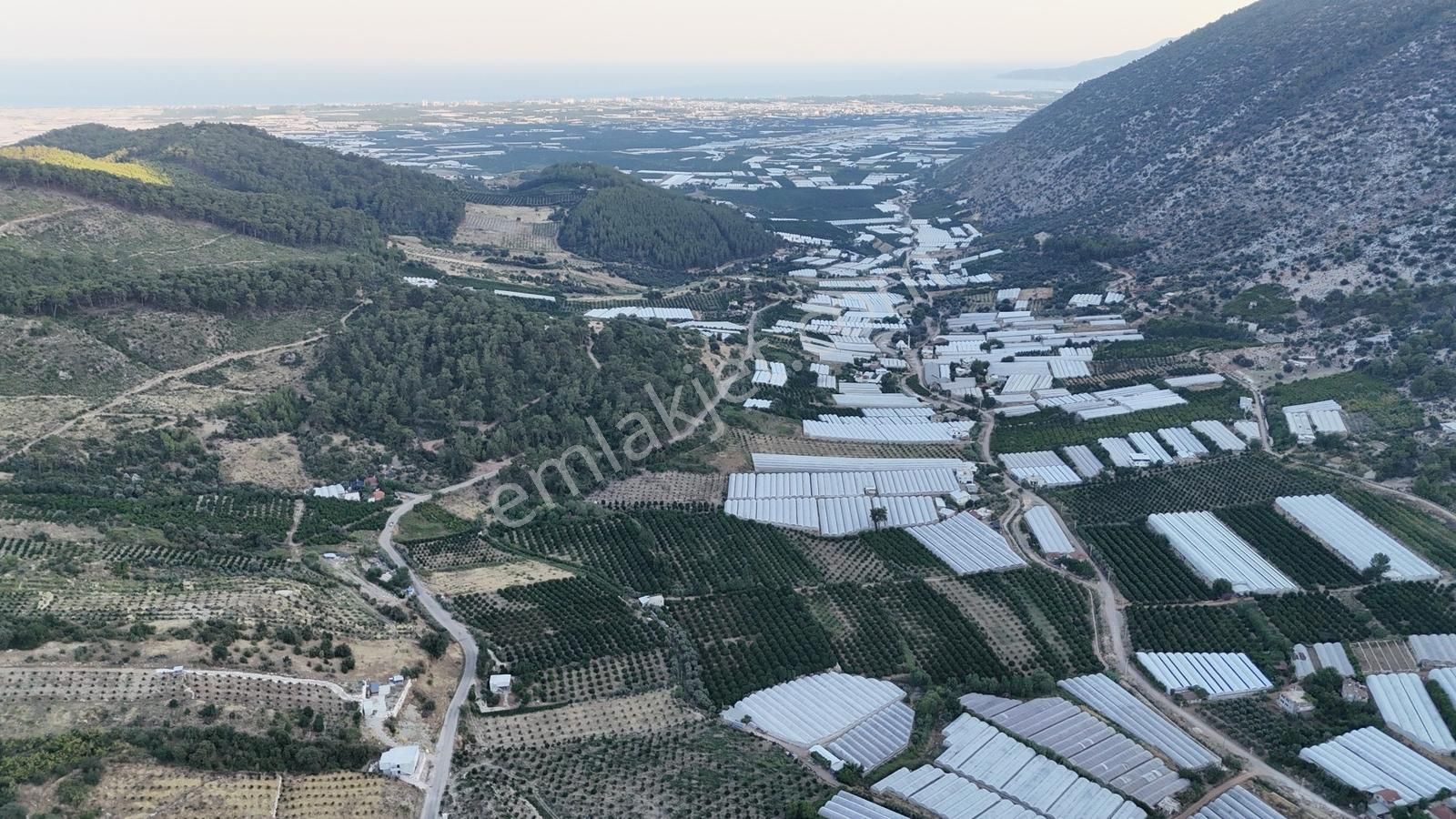 Antalya Kumluca Salur Mah. 15.000 M2 Portakal Bahçesi - Görsel 16