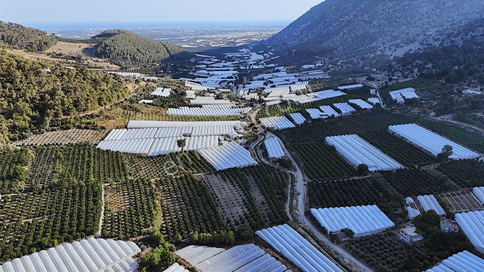 Antalya Kumluca Salur Mah. 15.000 M2 Portakal Bahçesi - Görsel 13