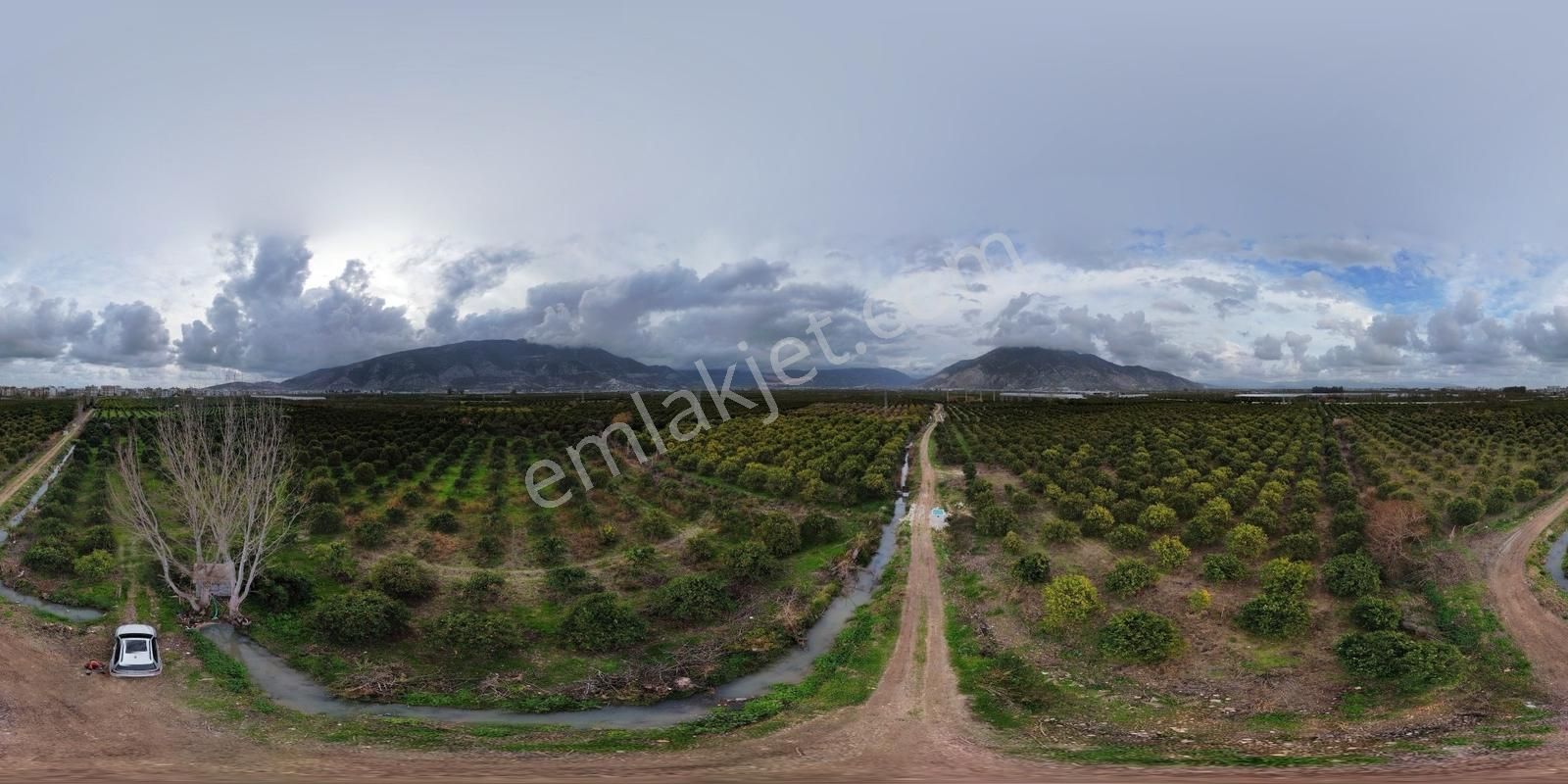 Antalya Finike Turunçova Mah 9000 M2 Limon Bahçesi Yolu Var - Görsel 2