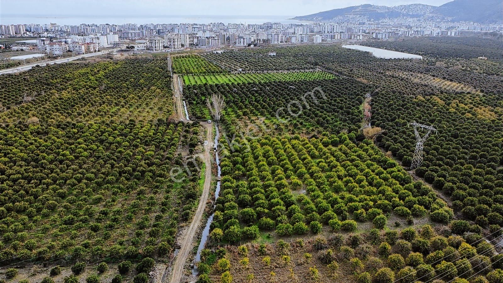 Antalya Finike Turunçova Mah 9000 M2 Limon Bahçesi Yolu Var - Görsel 4