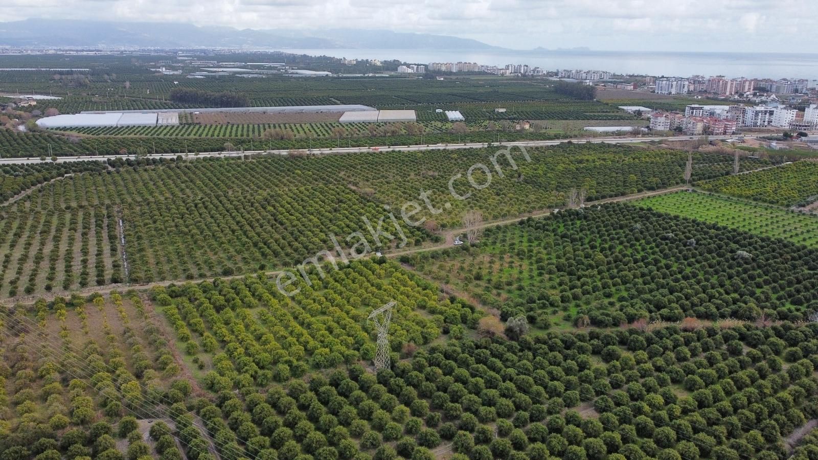 Antalya Finike Turunçova Mah 9000 M2 Limon Bahçesi Yolu Var - Görsel 26