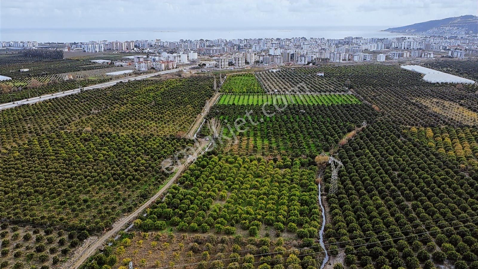 Antalya Finike Turunçova Mah 9000 M2 Limon Bahçesi Yolu Var - Görsel 13