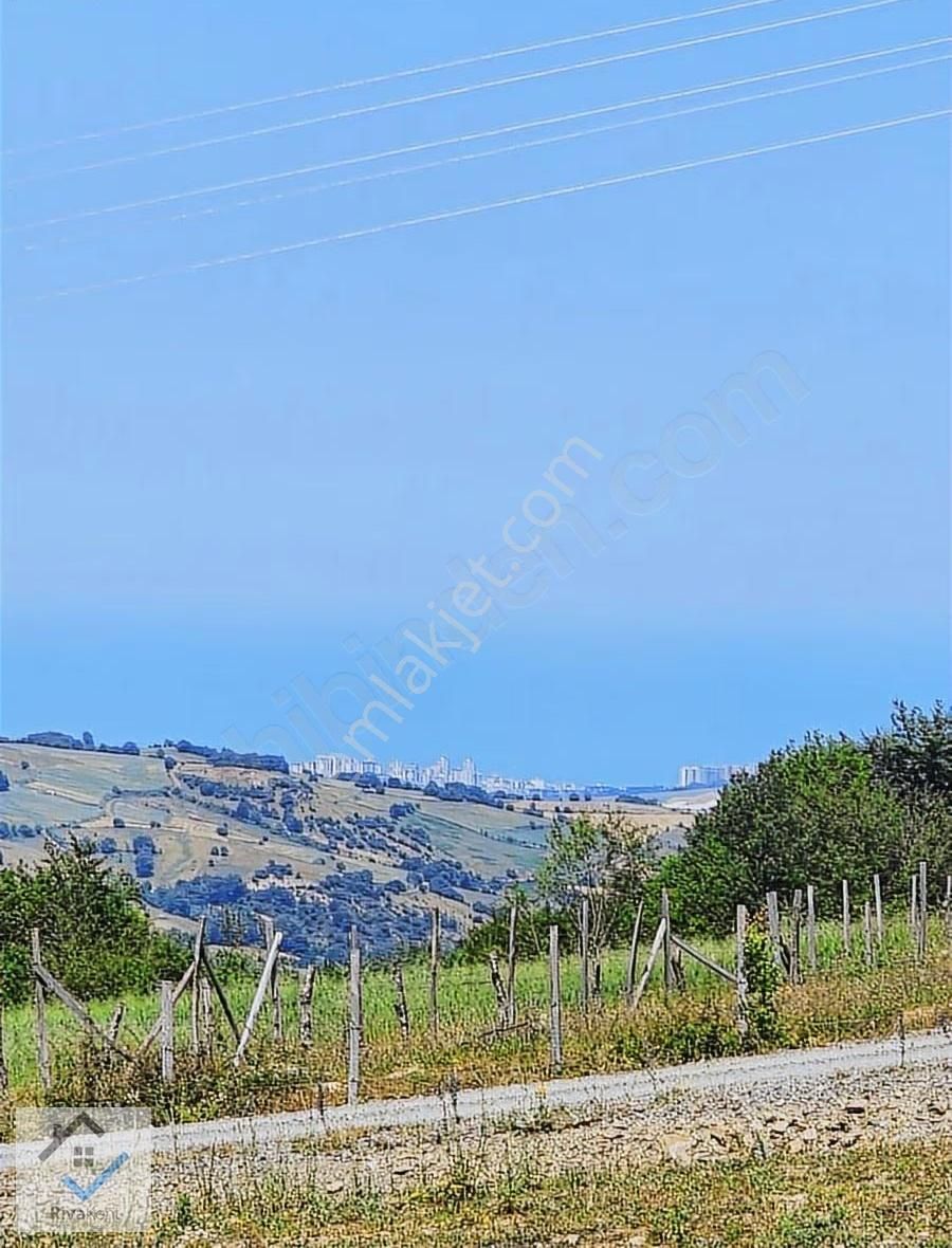 Gürgendağda İçerisinde Evi Olan Takasa Açık 1882 M2 Tarla - Görsel 26
