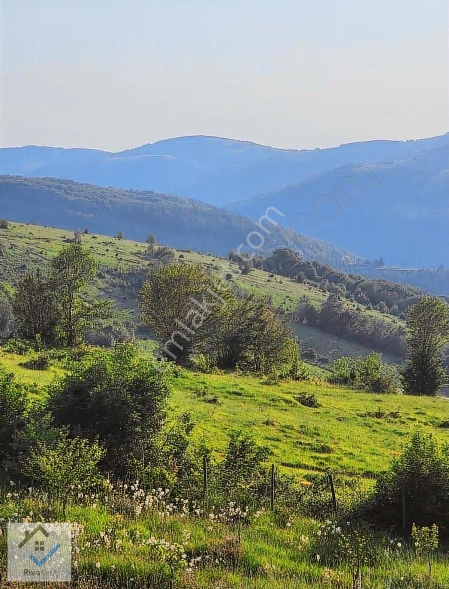 Gürgendağda İçerisinde Evi Olan Takasa Açık 1882 M2 Tarla - Görsel 20
