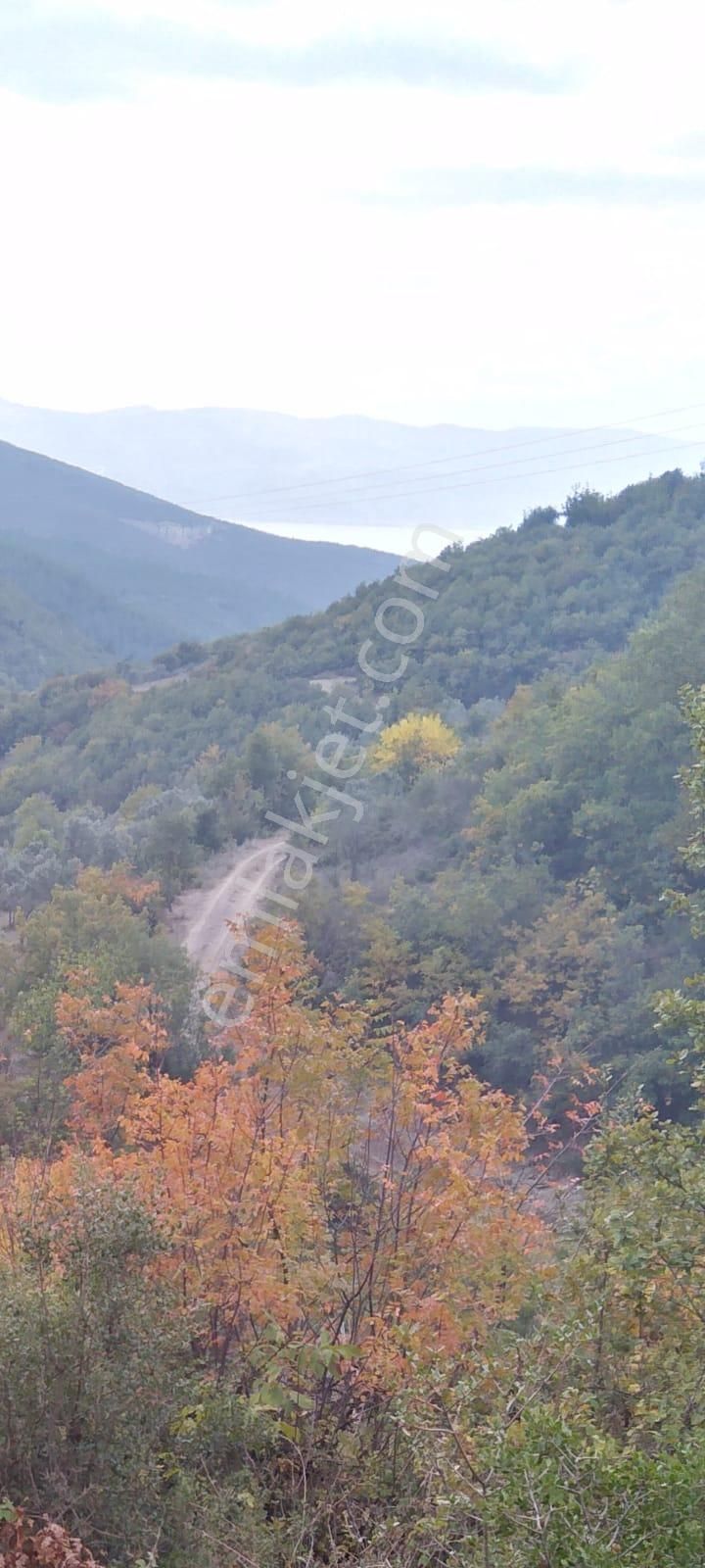 Bursa İznik Gürmüzlüde Acil Satılık Göl Manzaralı Bağ,bahçe