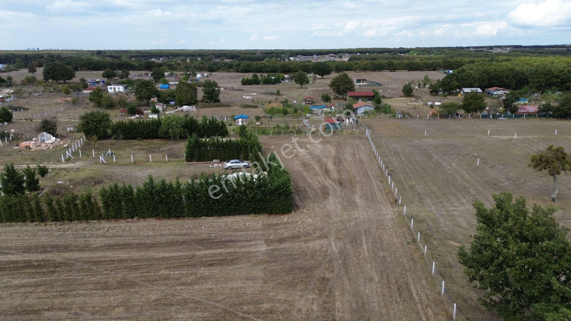 🌿 Çatalca Hallaçlı Mahallesi’nde 1540 M² Tek Tapu Satılık Tarla - Görsel 2