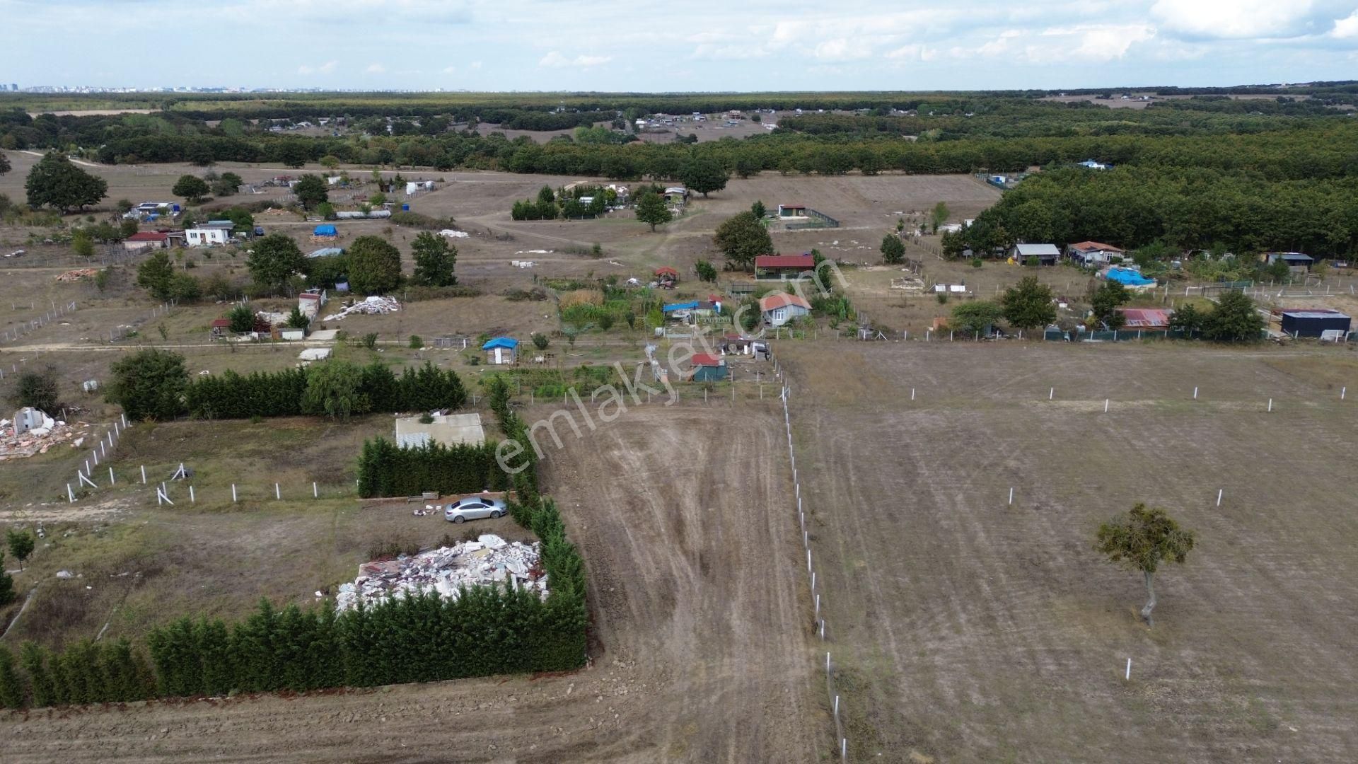 🌿 Çatalca Hallaçlı Mahallesi’nde 1540 M² Tek Tapu Satılık Tarla - Görsel 5
