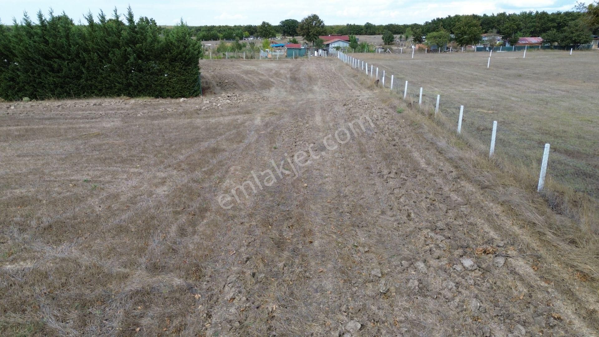 🌿 Çatalca Hallaçlı Mahallesi’nde 1540 M² Tek Tapu Satılık Tarla - Görsel 9