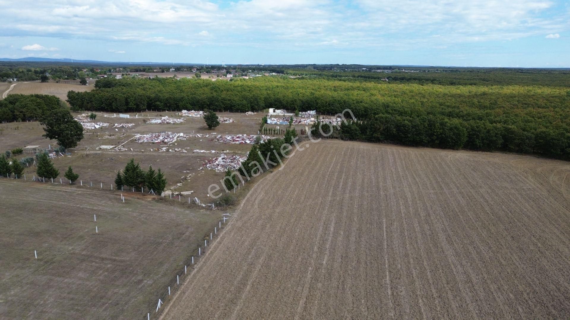 🌿 Çatalca Hallaçlı Mahallesi’nde 1540 M² Tek Tapu Satılık Tarla - Görsel 6