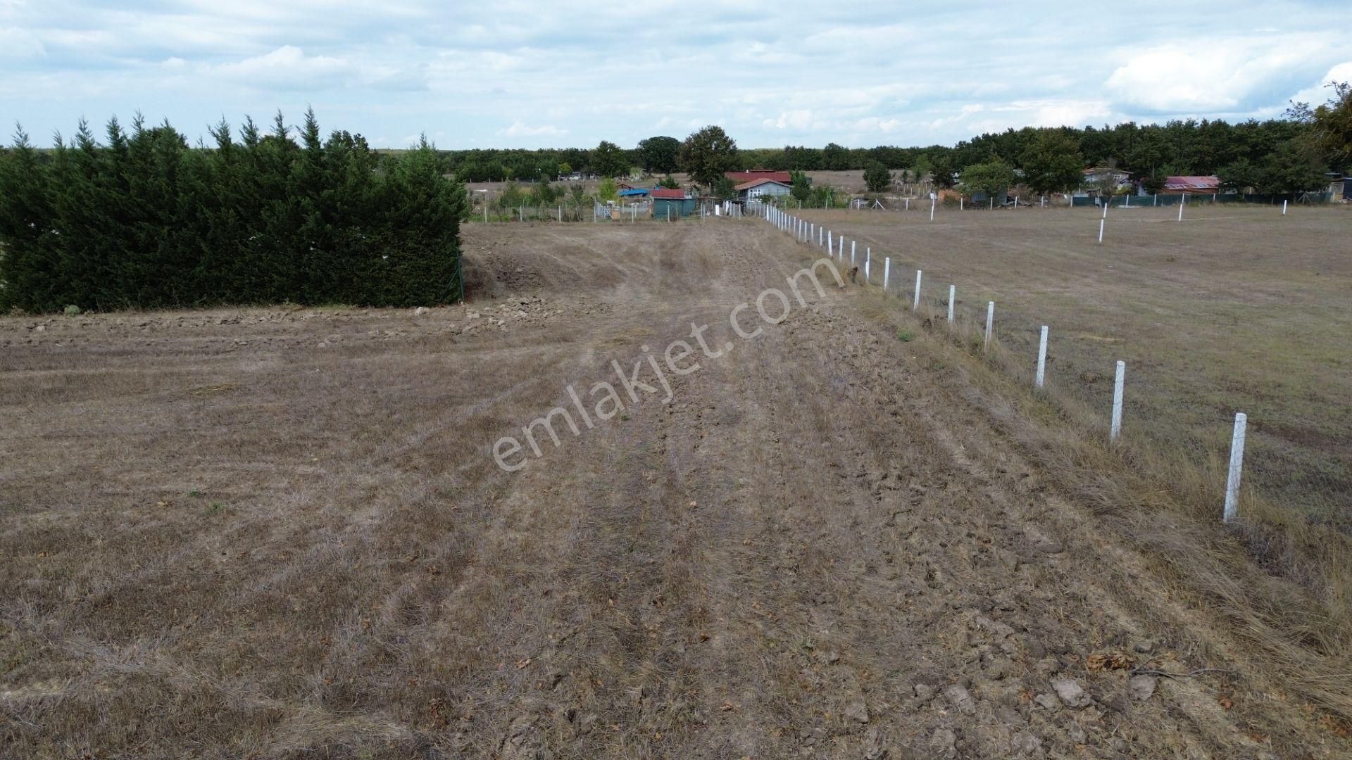 🌿 Çatalca Hallaçlı Mahallesi’nde 1540 M² Tek Tapu Satılık Tarla - Görsel 8