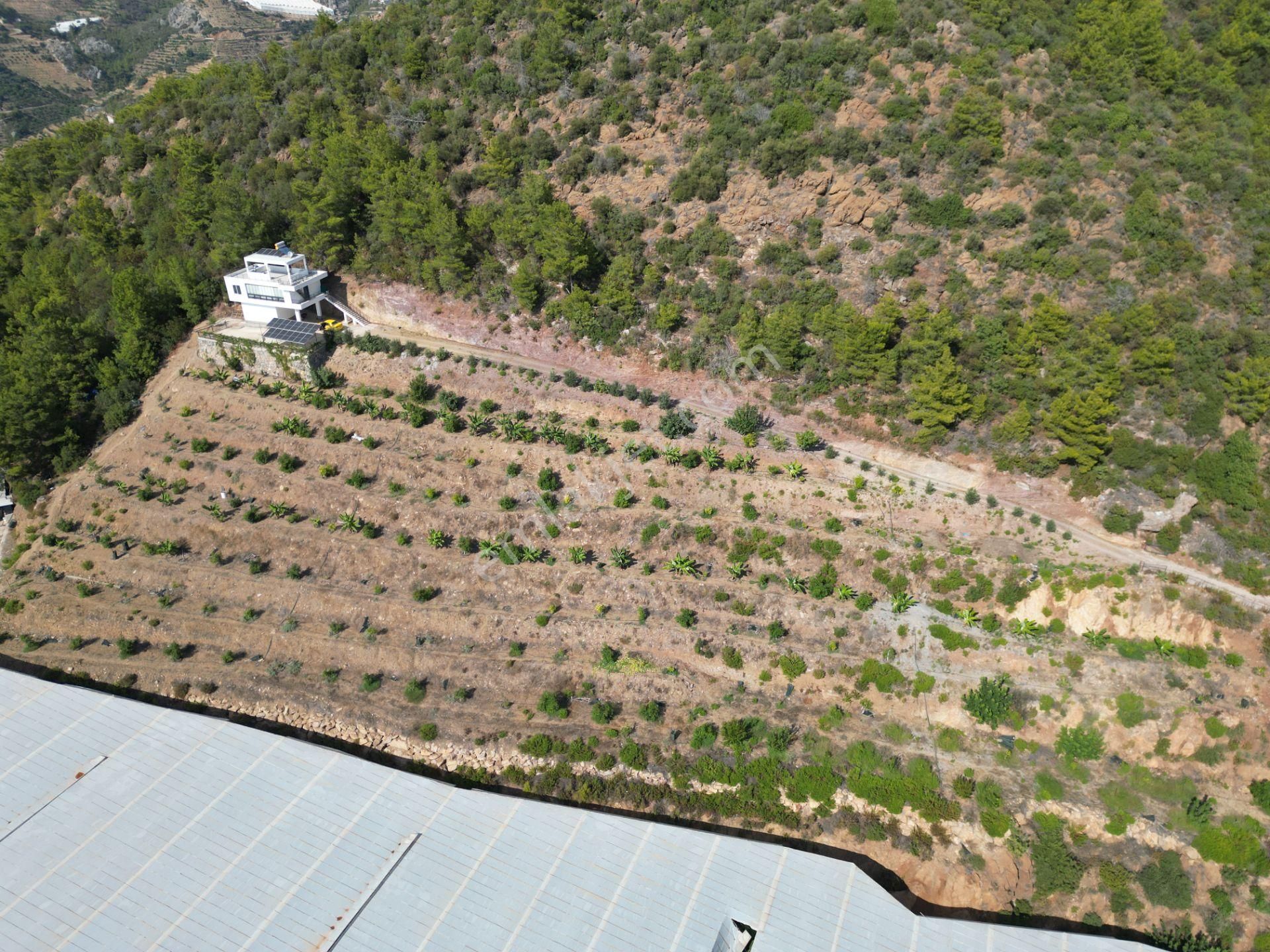 Alanya Özvadi Mah. Satılık Müstakil Ev Satılık 7.250 M² - Görsel 7