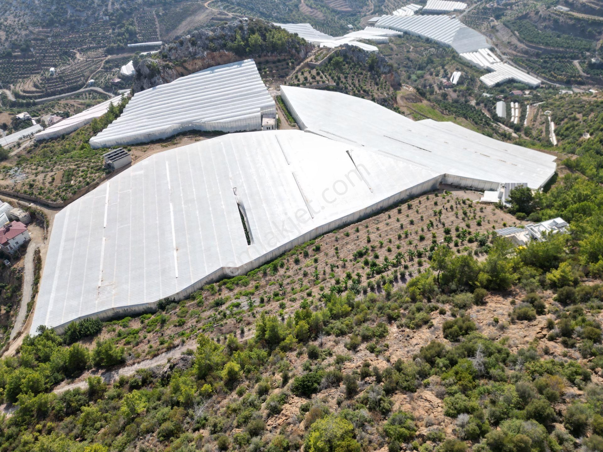 Alanya Özvadi Mah. Satılık Müstakil Ev Satılık 7.250 M² - Görsel 12