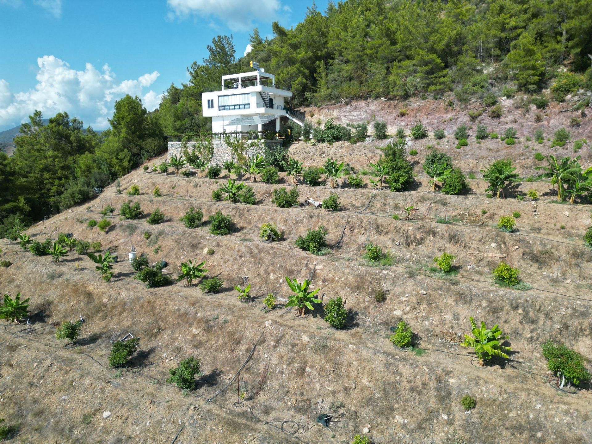 Alanya Özvadi Mah. Satılık Müstakil Ev Satılık 7.250 M² - Görsel 20