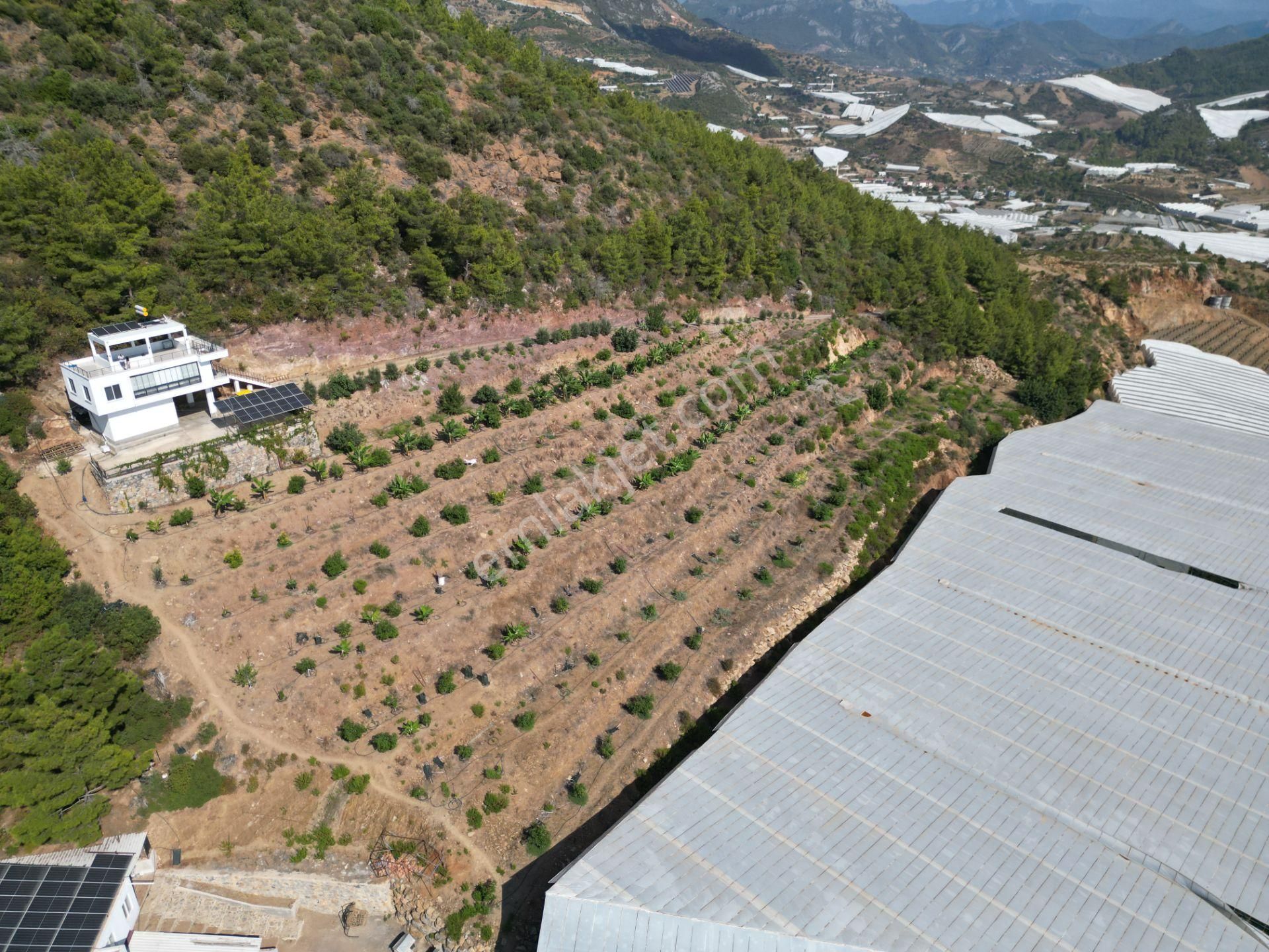 Alanya Özvadi Mah. Satılık Müstakil Ev Satılık 7.250 M² - Görsel 28