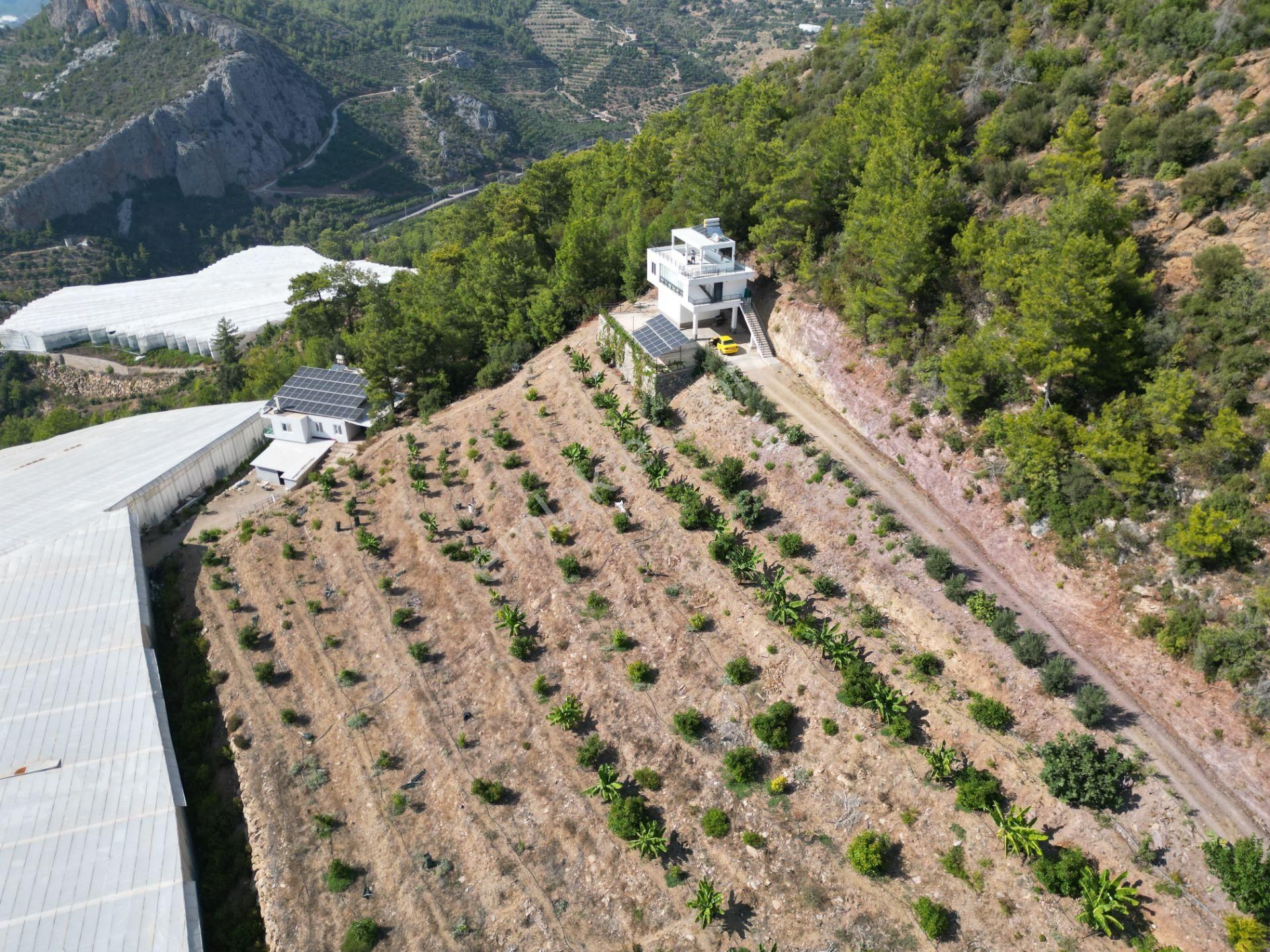 Alanya Özvadi Mah. Satılık Müstakil Ev Satılık 7.250 M² - Görsel 25