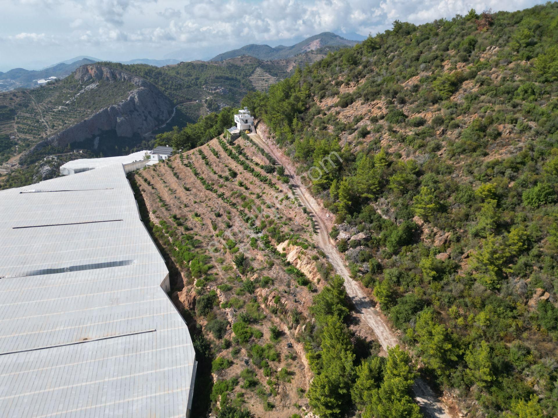 Alanya Özvadi Mah. Satılık Müstakil Ev Satılık 7.250 M² - Görsel 26