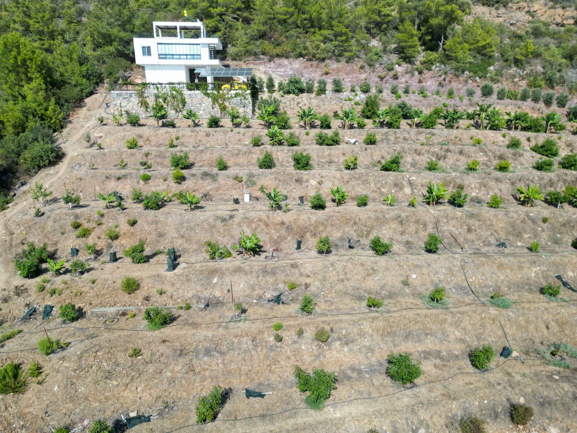 Alanya Özvadi Mah. Satılık Müstakil Ev Satılık 7.250 M² - Görsel 24