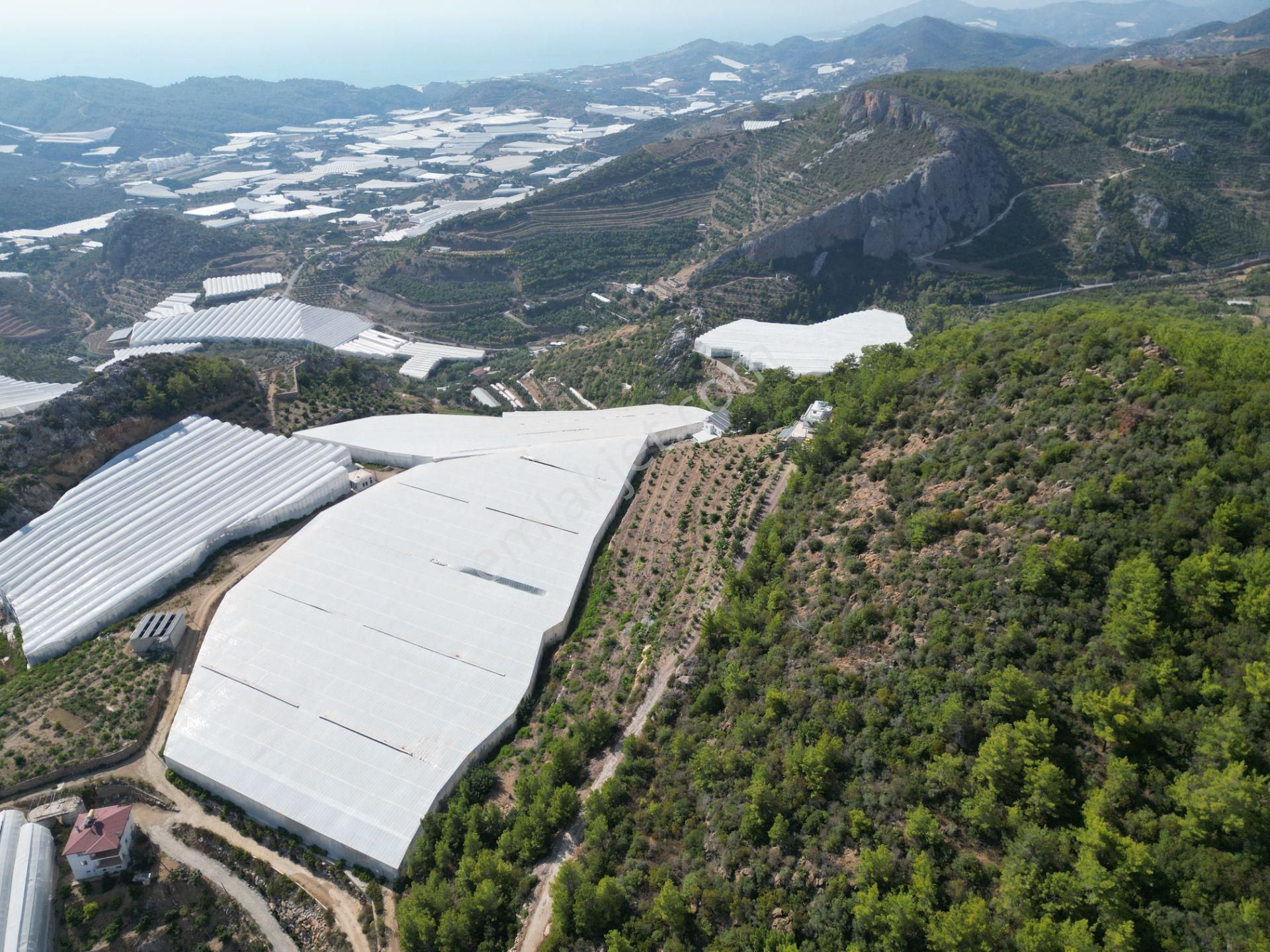 Alanya Özvadi Mah. Satılık Müstakil Ev Satılık 7.250 M² - Görsel 11