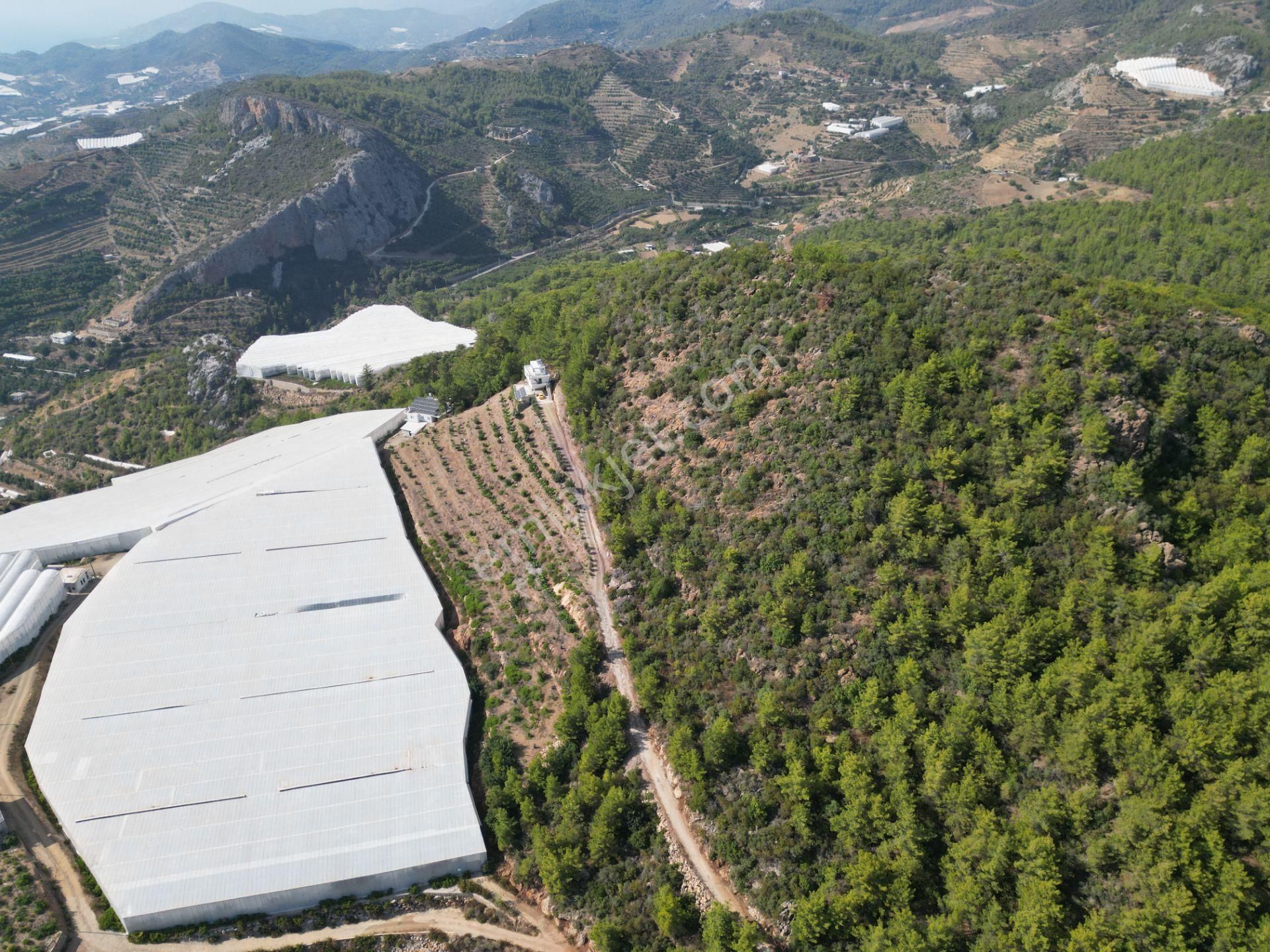 Alanya Özvadi Mah. Satılık Müstakil Ev Satılık 7.250 M² - Görsel 10