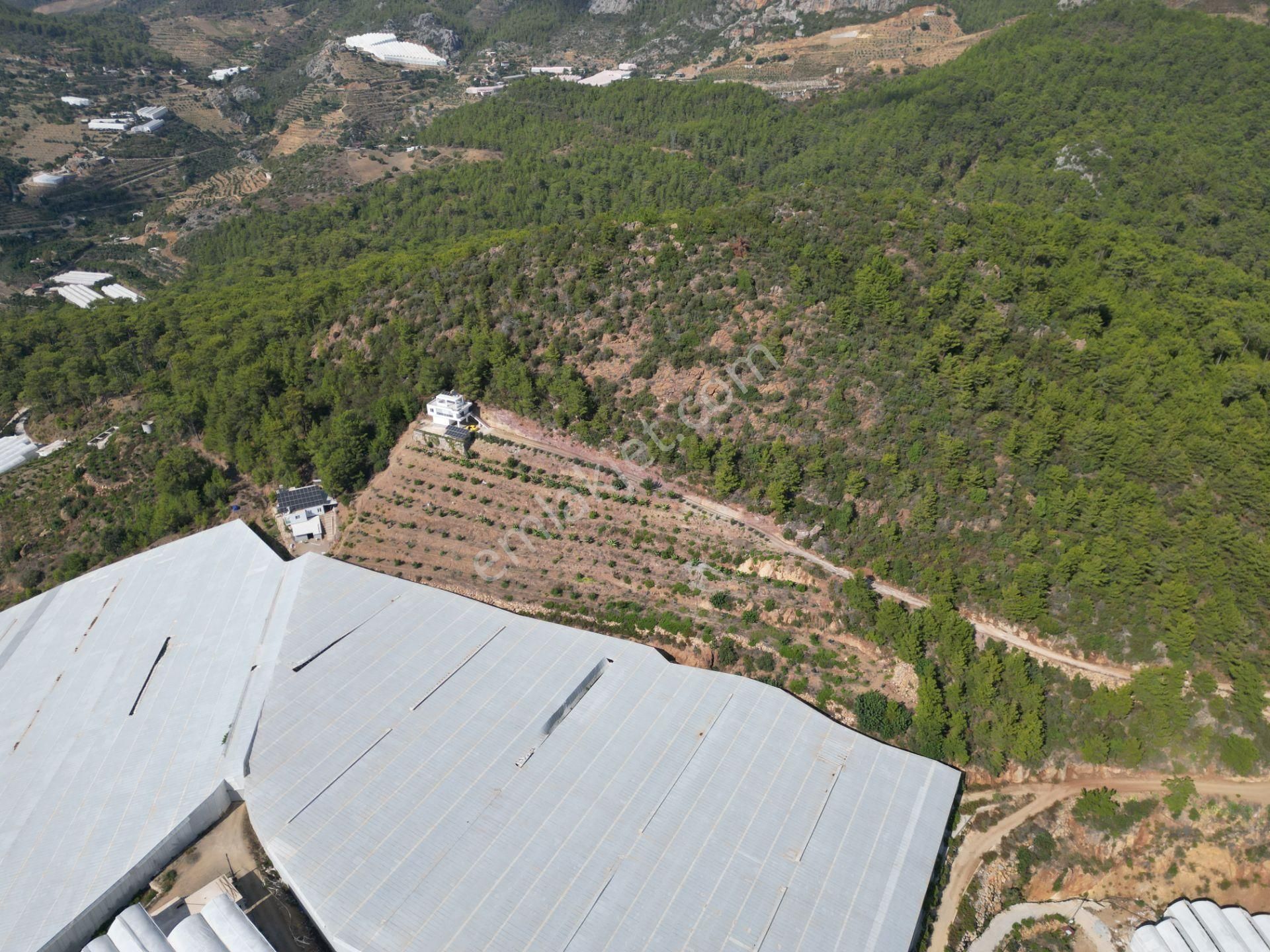 Alanya Özvadi Mah. Satılık Müstakil Ev Satılık 7.250 M² - Görsel 8