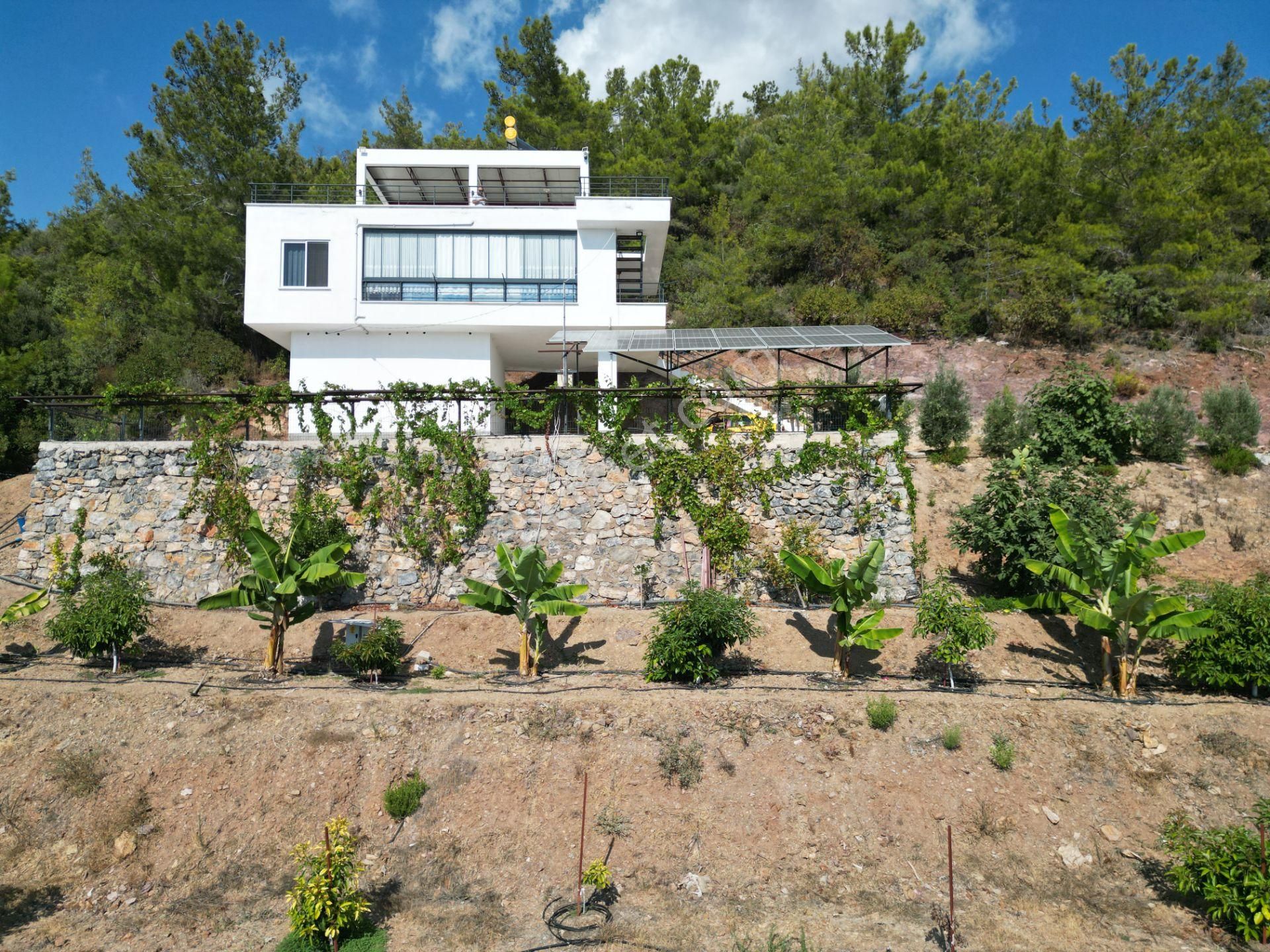 Alanya Özvadi Mah. Satılık Müstakil Ev Satılık 7.250 M² - Görsel 23