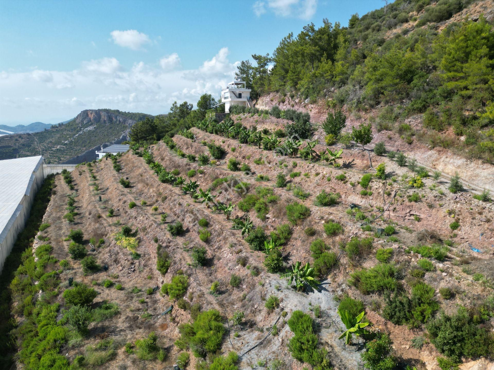 Alanya Özvadi Mah. Satılık Müstakil Ev Satılık 7.250 M² - Görsel 19