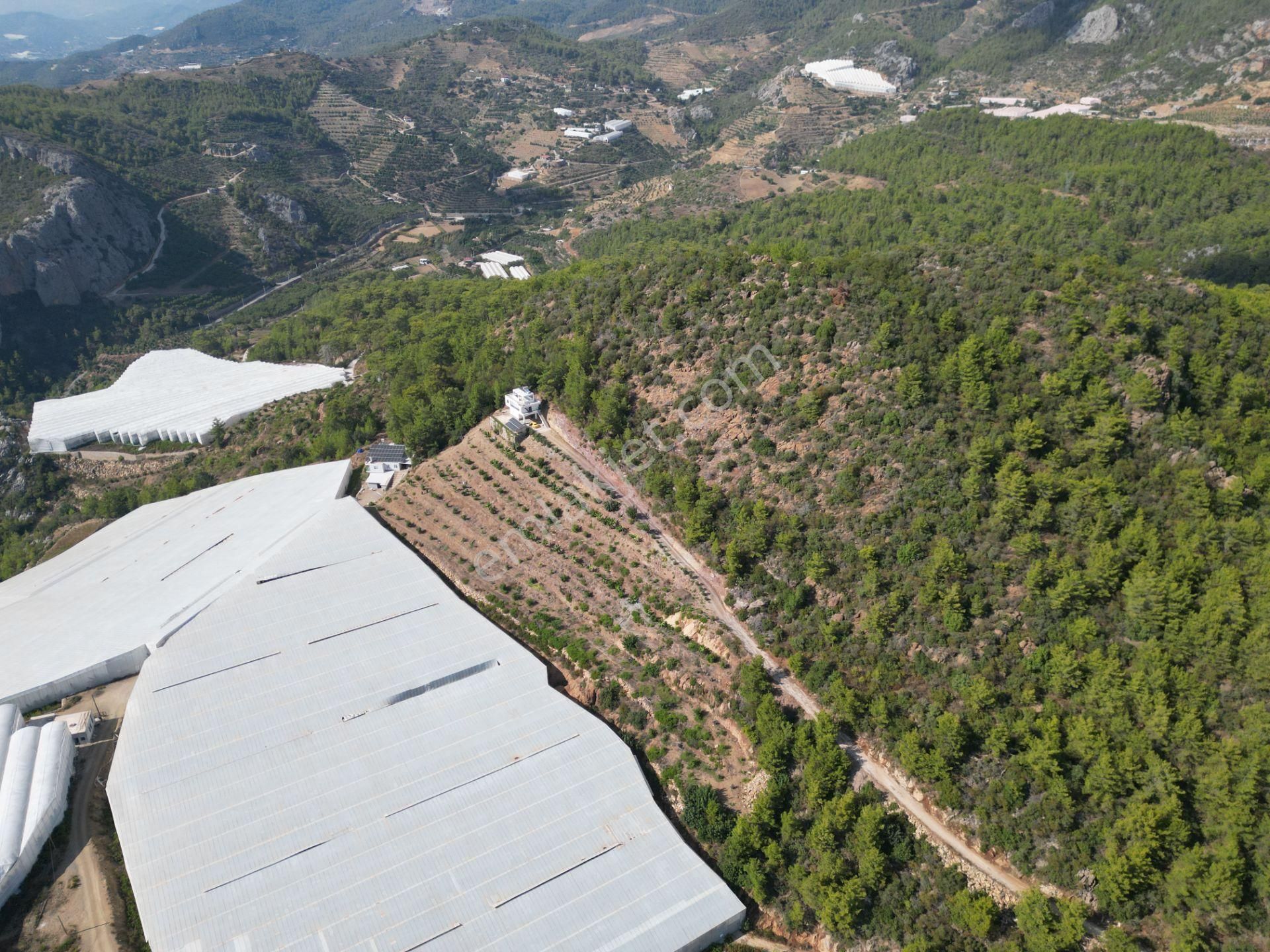 Alanya Özvadi Mah. Satılık Müstakil Ev Satılık 7.250 M² - Görsel 9